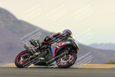 media/Jan-14-2023-SoCal Trackdays (Sat) [[497694156f]]/Turn 9 Set 2 (1130am)/